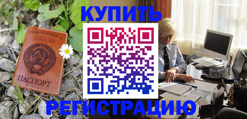 временная регистрация поиск в Новошахтинске